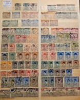 Egypt HUGE Lot - Other & Unclassified