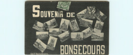 Belgique - Belgium - Hainaut - Péruwelz - Souvenir De Bonsecours - Multivues - état - Peruwelz