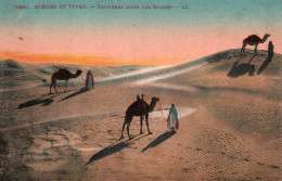 Scènes Et Types  TOUAREGS DANS LES DUNES   Chameaux    (2 Scans )  ( 21640 ) - Scene & Tipi