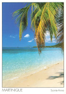 FRANCE - Martinique - Sainte Anne - Animé - Vue Sur La Plage - Palmier - La Mer - Carte Postale - Altri & Non Classificati