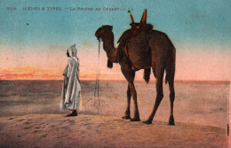 Scènes Et Types  LA PRIERE DU DESERT  ( Touaregs Chameaux )   (2 Scans )  ( 21636 ) - Escenas & Tipos