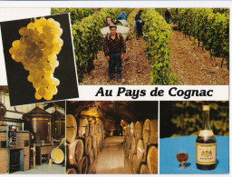 Au Pays De Cognac - Cognac