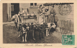 MIKIBP12-026- BELGIQUE BRUXELLES LAITIERE FLAMANDE VOITURE A CHIEN - Other & Unclassified