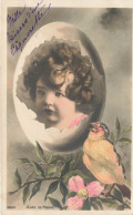 FANTAISIES - Bébé Dans Un œuf - Oiseau - Mille Baisers - Carte Postale Ancienne - Bebes