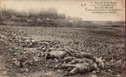 BATAILLE DE LA MARNE 6 AU 12 SEPTEMBRE 1914. MAURUPT ( MARNE ) CHAMP DE BATAILLE A L ' EST DU CHEMIN DE PARGNY-SUR-SAULX - Guerre 1914-18