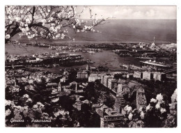 GENOVA  (carte Photo) - Genova