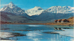 Argentina Postcard Terra Del Fuego Unused (59788) - Argentinië