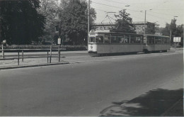 TRAMWAY - ALLEMAGNE - BERLIN KOPERNICK - Treinen