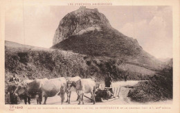 09 - MONTSEGUR A MONTFERRIER _S28822_ Route - Le Col De Montségur Et Le Château - Agriculture - Andere & Zonder Classificatie