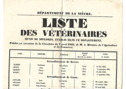 Nièvre , Vétérinaire , Affiche Entière Bon état - Affiches