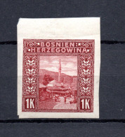 Bosnia Herzegowina 1906 Old IMPERVED Definitive Stamp (Michel 42 U) MLH - Bosnia Herzegovina