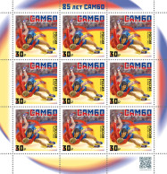 2023 3385 Russia Sport Sambo MNH - Unused Stamps