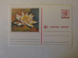 YUGOSLAVIA ILLUSTRATED POSTAL CARD - Other & Unclassified