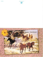 Format Spécial - 175 X 115 Mms Repliée - Animaux - Chevaux - Chevaux Au Galop - Carte Anniversaire - Carte Neuve - Frais - Paarden