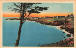 FRANCE - Sète - La Route De La Corniche - Carte Postale Ancienne - Sete (Cette)