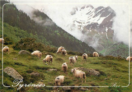Animaux - Moutons - Pyrénées - Pâturages Pyrénéens - CPM - Carte Neuve - Voir Scans Recto-Verso - Andere & Zonder Classificatie