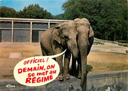 Animaux - Eléphants - Carte Humoristique - CPM - Voir Scans Recto-Verso - Elefantes