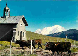 Animaux - Vaches - Col Des Aravis - La Chapelle Du Col - Au Fond Le Mont Blanc - Montagnes - Flamme Postale - CPM - Voir - Vacas