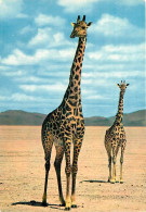 Animaux - Girafes - Faune Africaine - Carte Neuve - CPM - Voir Scans Recto-Verso - Jirafas