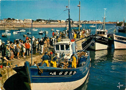 56 - Presqu'Ile De Quiberon - CPM - Voir Scans Recto-Verso - Quiberon