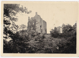 Environs D'Argentat - Ruines Des Tours De Merle - Argentat