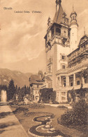 AGTP11-0848-ROUMANIE - SINAIA - Castelul Peles  - Rumänien