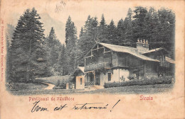 AGTP11-0851-ROUMANIE - SINAIA - Pavillonul De Vanatore - Romania