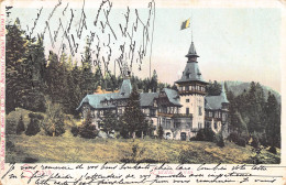 AGTP11-0849-ROUMANIE - SINAIA - Castelul Peles  - Romania