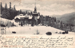 AGTP11-0842-ROUMANIE - SINAIA - Salutari Din Sinaia - Castelul Peles - Romania