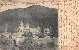 AGTP11-0838-ROUMANIE - SINAIA - Monastirea  - Rumänien