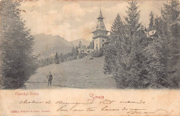 AGTP11-0834-ROUMANIE - SINAIA - Castelul Peles  - Romania