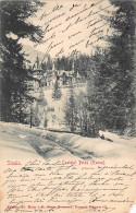 AGTP11-0833-ROUMANIE - SINAIA - Castelul Peles  - Romania