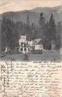 AGTP11-0820-ROUMANIE - SINAIA - Salutare Din Sinaia - Corpul De Garda - Roemenië