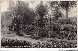 AGTP10-0764-PORTUGAL - MADEIRA - Jardin Municipal - Madeira