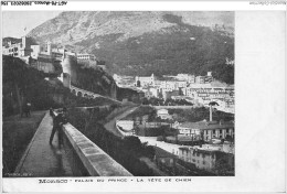 AGTP8-0623-MONACO - Palais Du Prince, La Tete De Chien - Panoramic Views