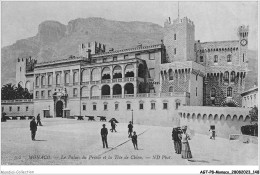 AGTP8-0619-MONACO - Le Palais Du Prince Et La Tete De Chien  - Palacio Del Príncipe