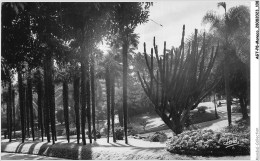 AGTP8-0599-MONACO- La Cote D'azur  - Monte-carlo - Contre Jour Dans Les Jardins Du Casino - Panoramische Zichten, Meerdere Zichten