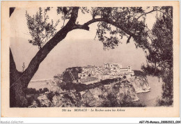 AGTP8-0547-MONACO - Le Rocher Entre Les Arbres  - Panoramische Zichten, Meerdere Zichten