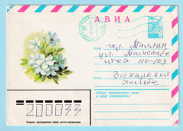 USSR 1981.0603. Periwinkle (Vinca Minor). Prestamped Cover, Used - 1980-91