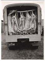 Fotografie Spedition A. Kraemer, Bamberg, Lastwagen Mit Kässbohrer - Kühlanhänger Transportiert Schweinehälften  - Automobiles