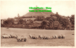 R357924 The Tor Glastonbury. 18451 - Monde