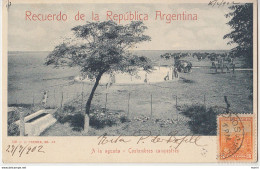 1902 RECUERDO DE LA REPUBLICA ARGENTINA - VG PER PADOVA --- E0560 * - Argentinië