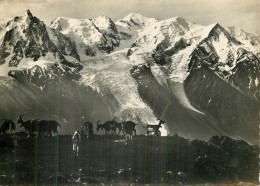 Le Massif Du Mt-Blanc Vu De PLAN PRAZ - Autres & Non Classés