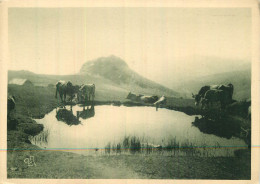  HAUTS PLATEAUX DU VIVARAIS . Ardèche . - Altri & Non Classificati