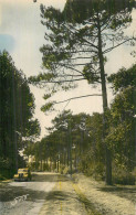 SAINT JEAN DE MONTS . Avenue Forestière - Saint Jean De Monts