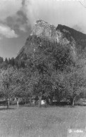 SAMOENS . Le Criou - Samoëns