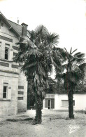 SOULAC Sur MER . Colonie De Vacances De Grand Quevilly . - Soulac-sur-Mer