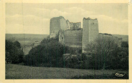 MONTOIRE Sur Le LOIR . Vue D'ensemble Du Château - Montoire-sur-le-Loir