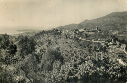 CASTELLAR . Vue Générale - Autres & Non Classés