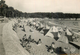 SAINT PALAIS SUR MER .  Vue Générale De La Plage De Vaux Nauzan - Saint-Palais-sur-Mer